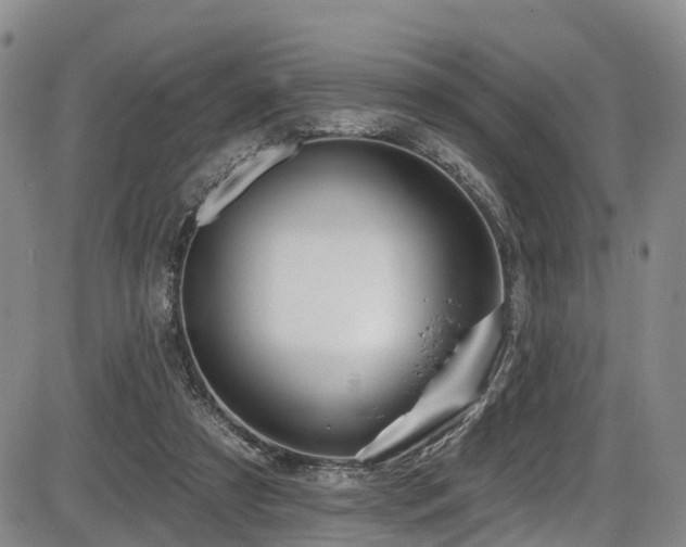 X0000086300305200703301209