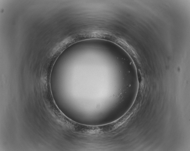 X0000086300306200703301209