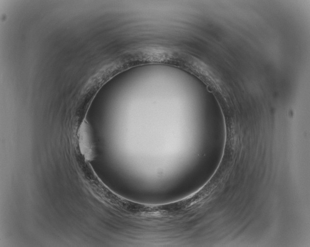 X0000086300307200703301209