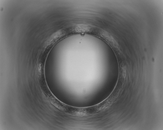 X0000086300308200703301209