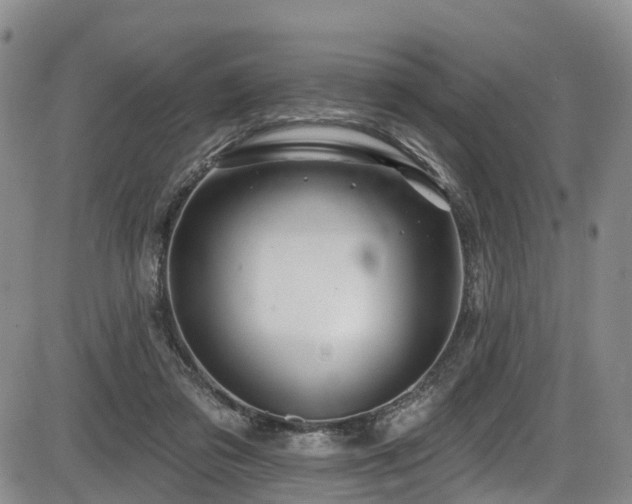 X0000086300309200703301209