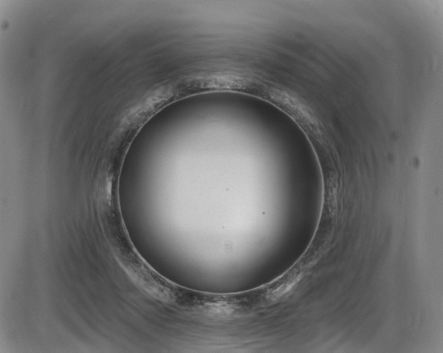 X0000086300310200703301209