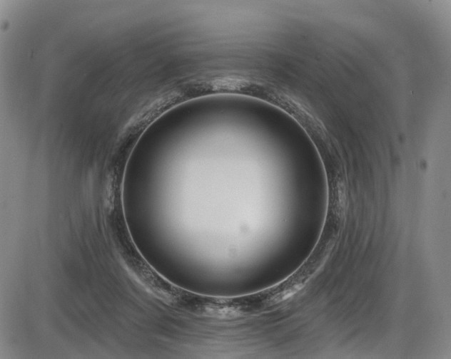 X0000086300311200703301209