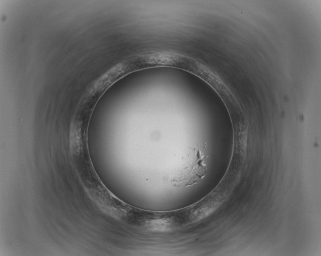 X0000086300312200703301209