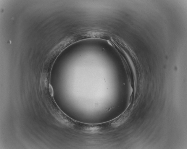 X0000086300313200703301209