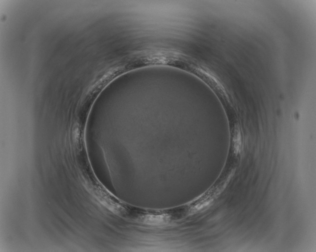 X0000086300314200703301209