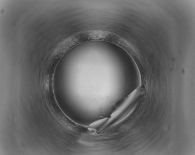 X0000086300315200703301209