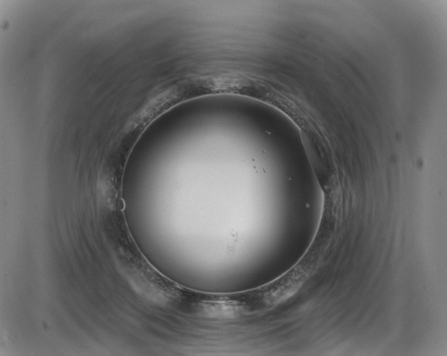 X0000086300316200703301209