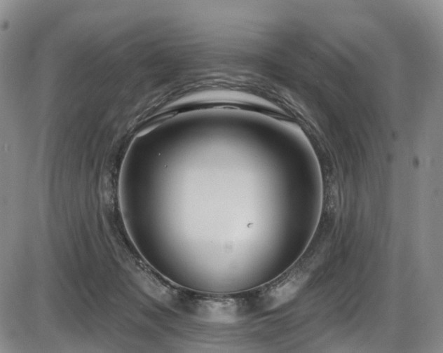 X0000086300317200703301209