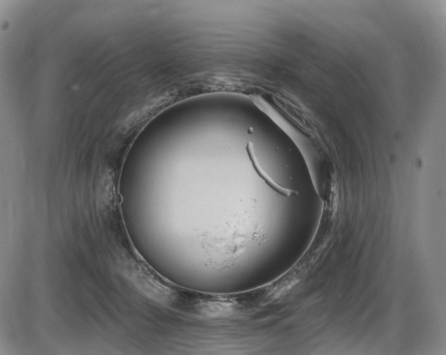 X0000086300318200703301209