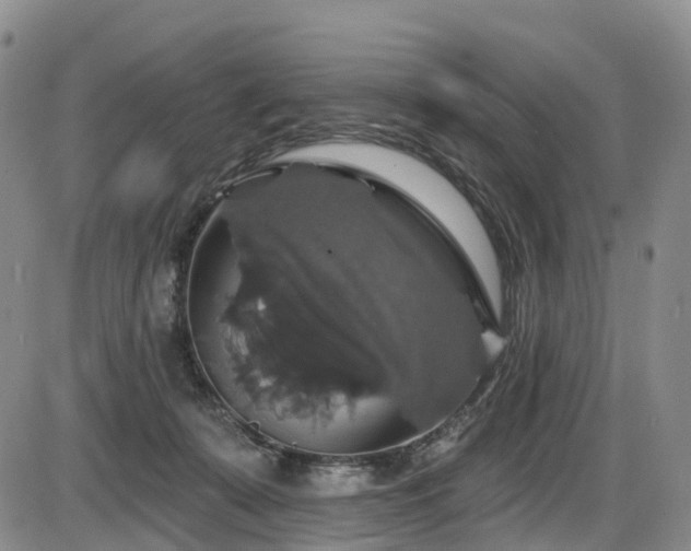 X0000086300319200703301209