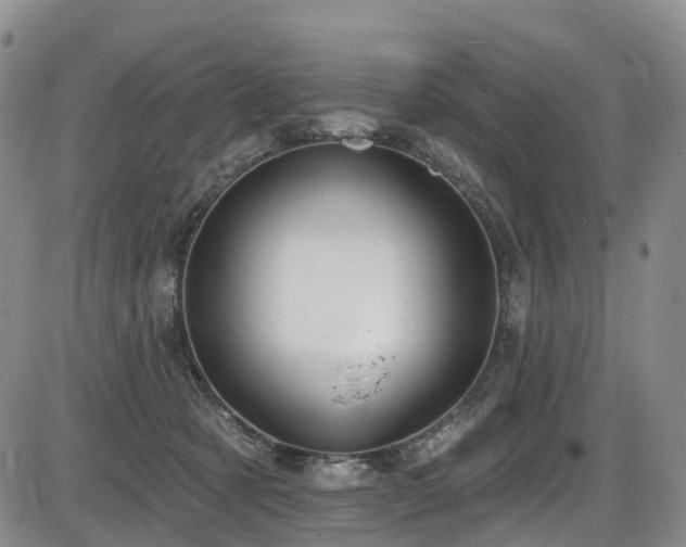 X0000086300321200703301209