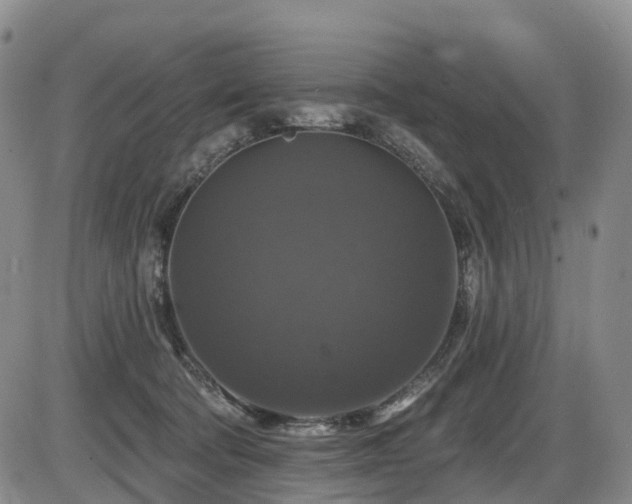 X0000086300322200703301209