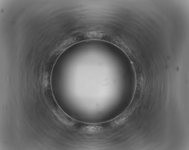 X0000086300323200703301209