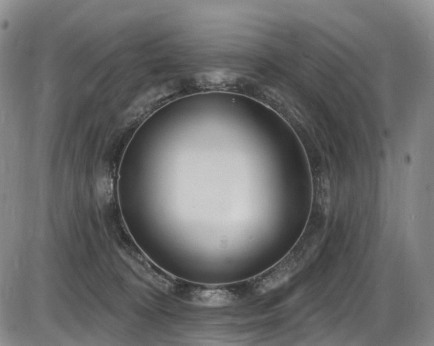 X0000086300324200703301209