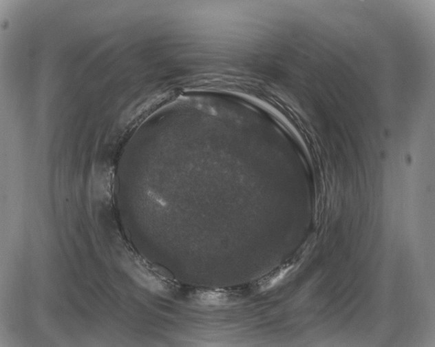 X0000086300325200703301209