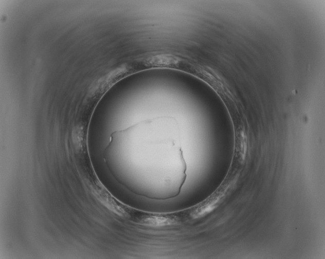 X0000086300326200703301209