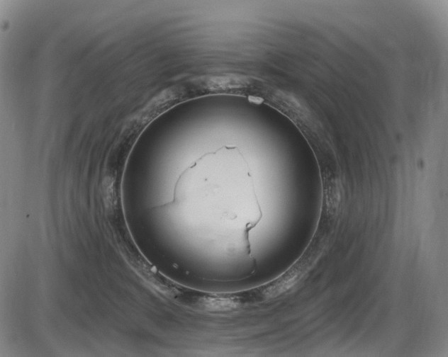 X0000086300327200703301209