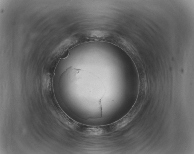 X0000086300328200703301209