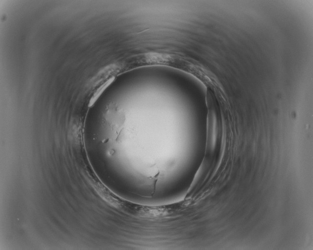 X0000086300329200703301209