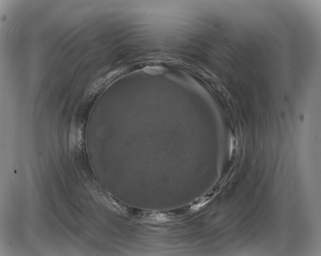 X0000086300330200703301209