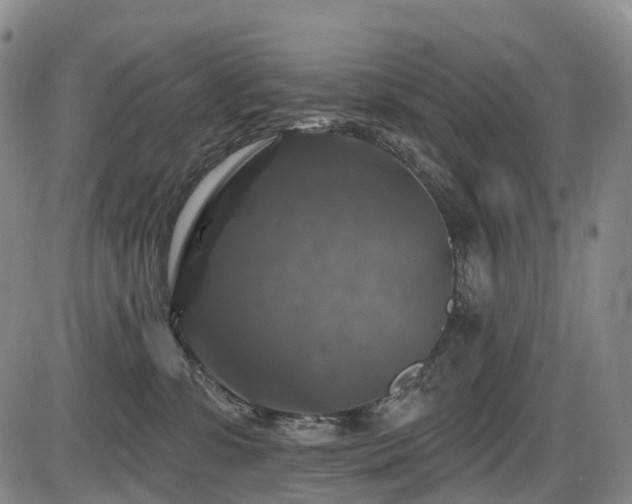 X0000086300331200703301209