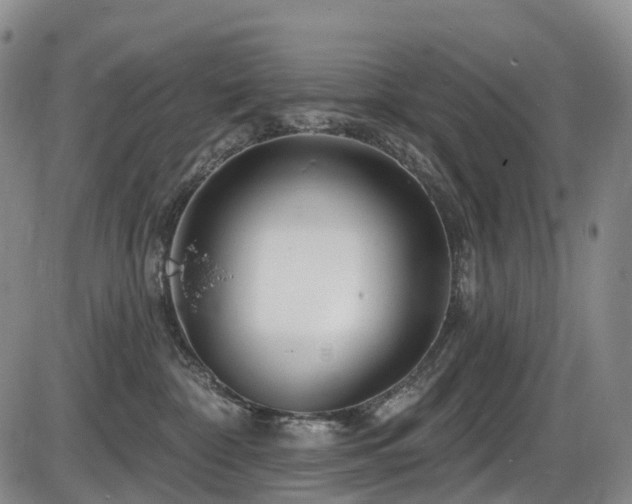 X0000086300332200703301209