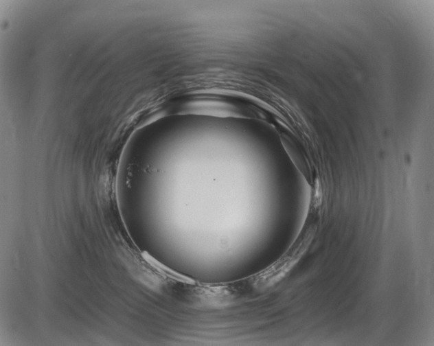 X0000086300333200703301209