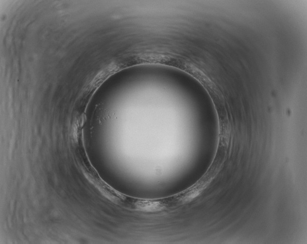 X0000086300334200703301209