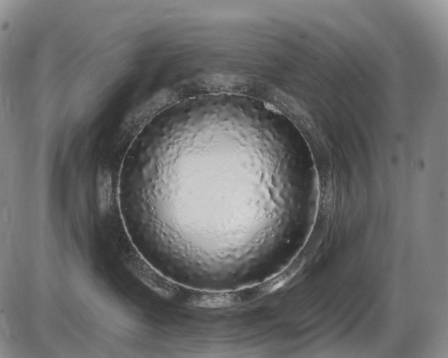 X0000086300335200703301208