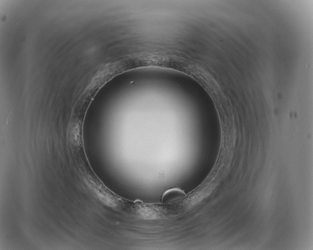 X0000086300336200703301208