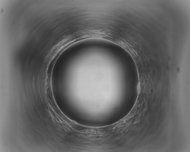 X0000086300338200703301208