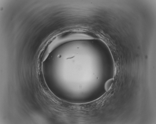 X0000086300339200703301208