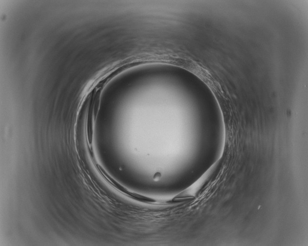 X0000086300340200703301208