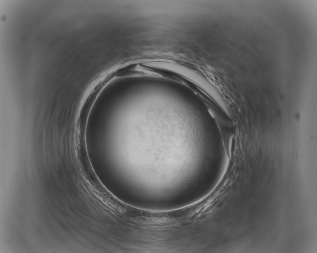 X0000086300342200703301208