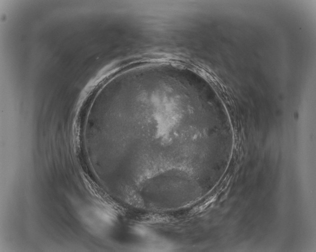 X0000086300343200703301208