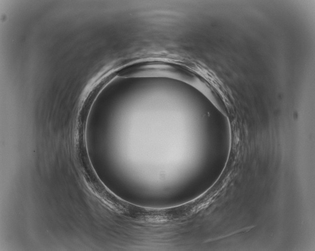 X0000086300344200703301208