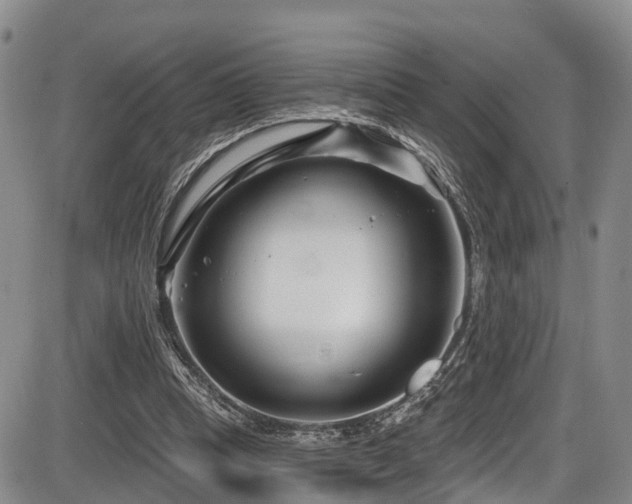 X0000086300345200703301208