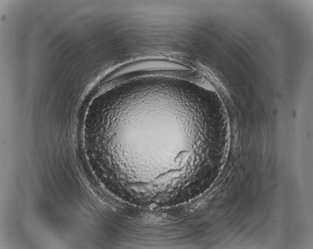 X0000086300346200703301208