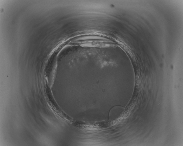 X0000086300347200703301208