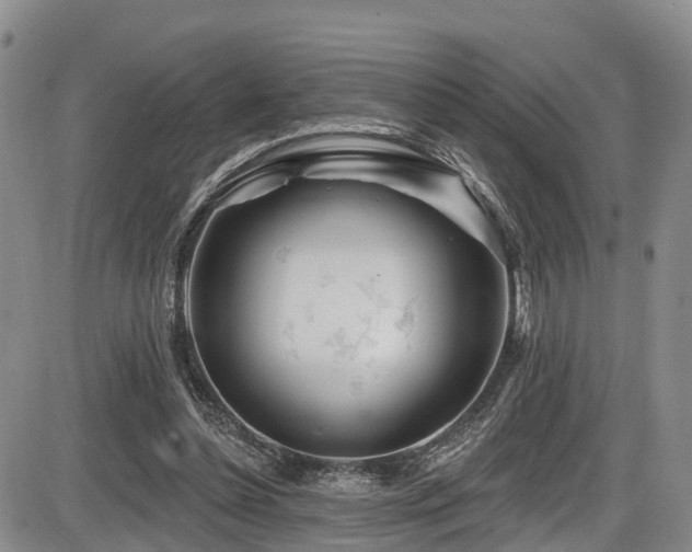 X0000086300348200703301208