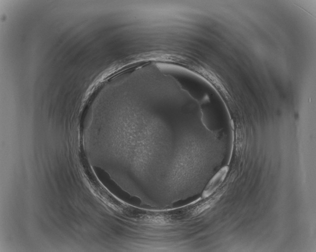 X0000086300349200703301208