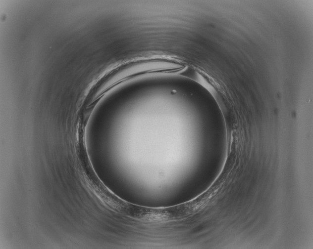 X0000086300350200703301208