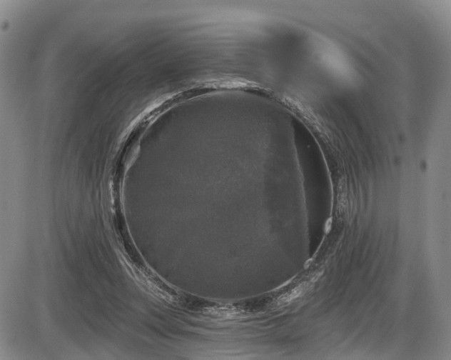 X0000086300351200703301208