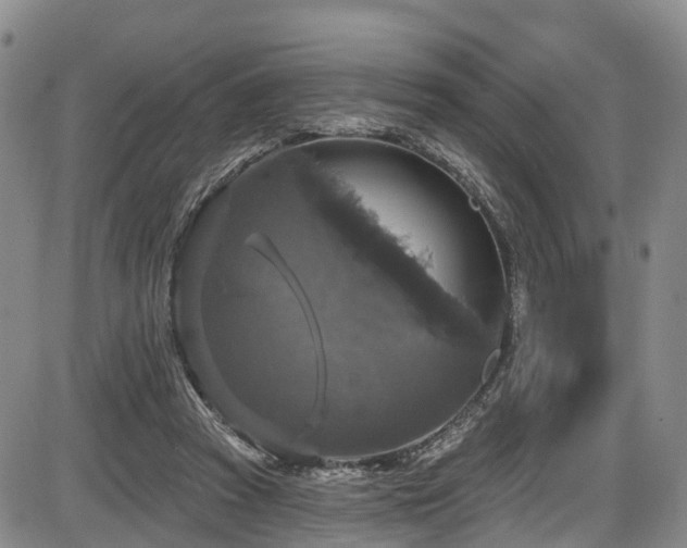 X0000086300353200703301208