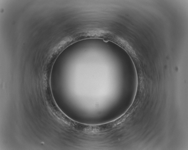 X0000086300354200703301208