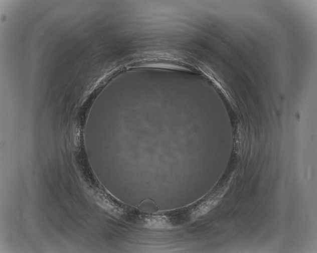 X0000086300355200703301208