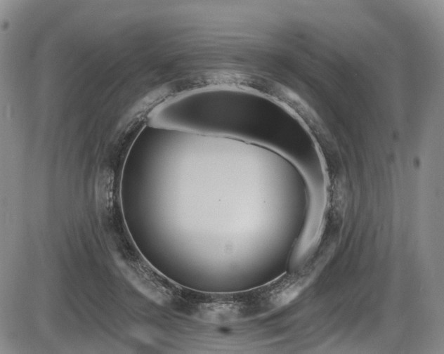 X0000086300356200703301208