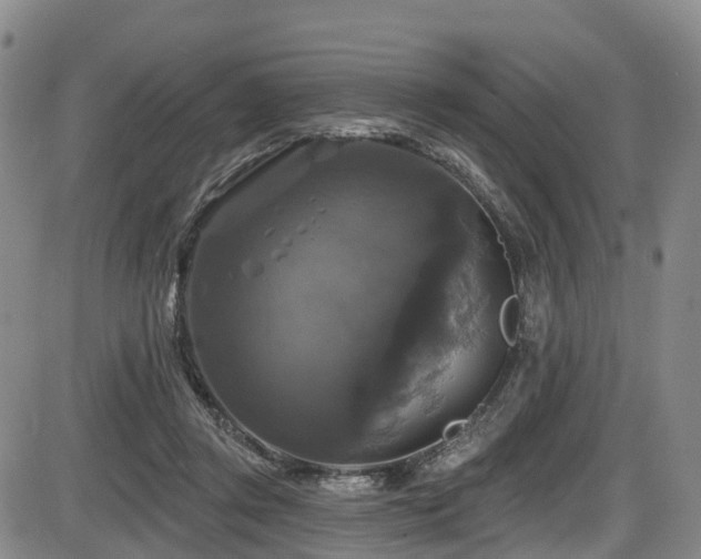 X0000086300357200703301208