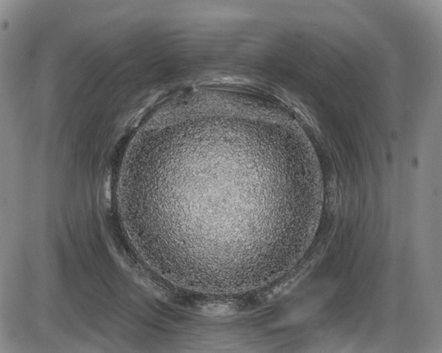 X0000086300358200703301208